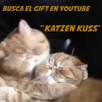 Behind the Gifs (2013) - Capítulo 1 - Página 11 - LectorTMOo
