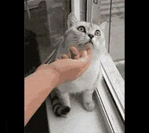 Behind the Gifs (2013) - Capítulo 10 - Página 6 - LectorTMOo