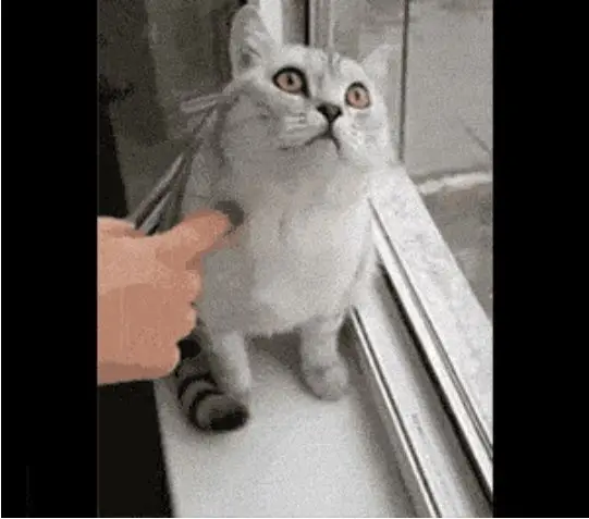 Behind the Gifs (2013) - Capítulo 10 - Página 8 - LectorTMOo