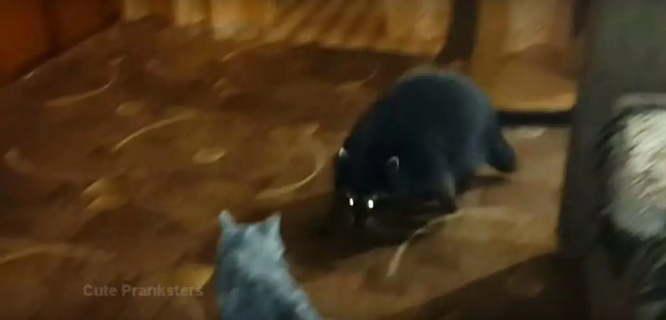 Behind the Gifs (2013) - Capítulo 3 - Página 7 - LectorTMOo