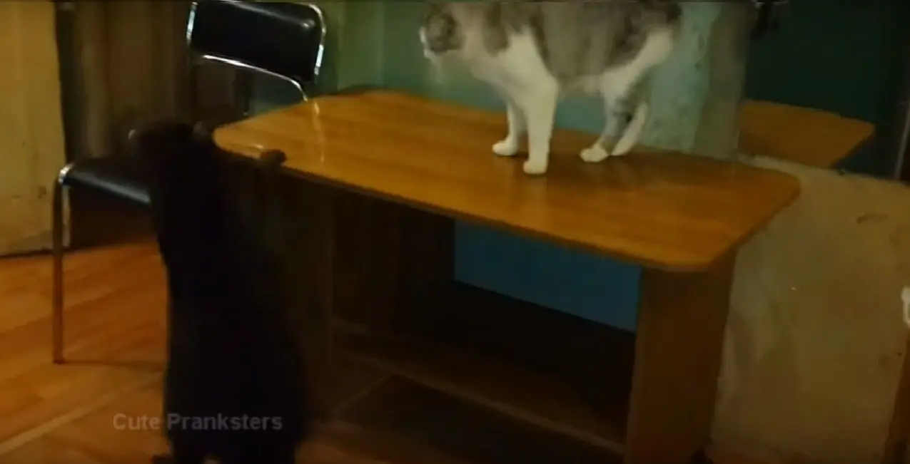 Behind the Gifs (2013) - Capítulo 3 - Página 8 - LectorTMOo