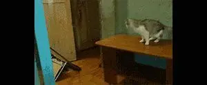 Behind the Gifs (2013) - Capítulo 3 - Página 11 - LectorTMOo
