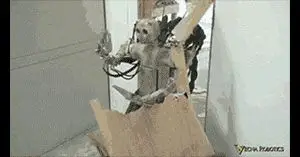 Behind the Gifs (2013) - Capítulo 4 - Página 7 - LectorTMOo