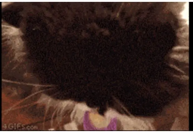 Behind the Gifs (2013) - Capítulo 5 - Página 9 - LectorTMOo