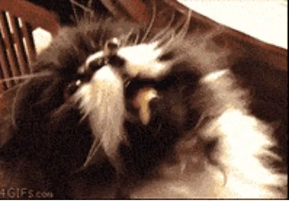 Behind the Gifs (2013) - Capítulo 5 - Página 10 - LectorTMOo