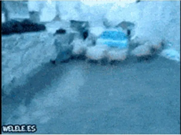 Behind the Gifs (2013) - Capítulo 6 - Página 10 - LectorTMOo