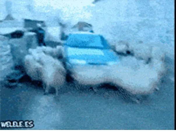 Behind the Gifs (2013) - Capítulo 6 - Página 11 - LectorTMOo