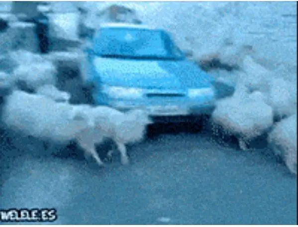 Behind the Gifs (2013) - Capítulo 6 - Página 12 - LectorTMOo