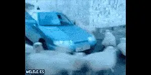 Behind the Gifs (2013) - Capítulo 6 - Página 13 - LectorTMOo