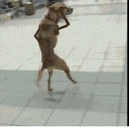 Behind the Gifs (2013) - Capítulo 7 - Página 10 - LectorTMOo