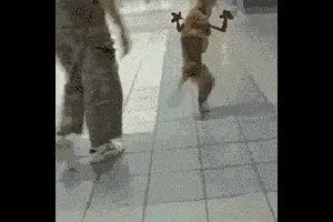 Behind the Gifs (2013) - Capítulo 7 - Página 12 - LectorTMOo