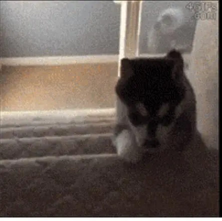 Behind the Gifs (2013) - Capítulo 8 - Página 8 - LectorTMOo