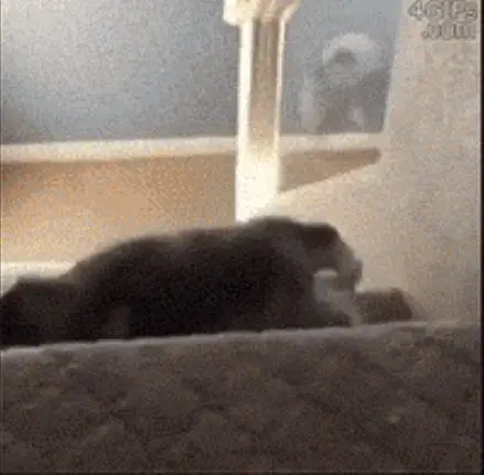 Behind the Gifs (2013) - Capítulo 8 - Página 9 - LectorTMOo