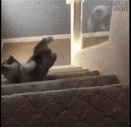 Behind the Gifs (2013) - Capítulo 8 - Página 10 - LectorTMOo