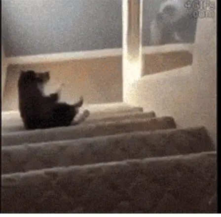 Behind the Gifs (2013) - Capítulo 8 - Página 11 - LectorTMOo