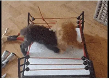 Behind the Gifs (2013) - Capítulo 9 - Página 10 - LectorTMOo