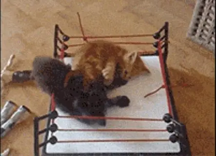 Behind the Gifs (2013) - Capítulo 9 - Página 11 - LectorTMOo