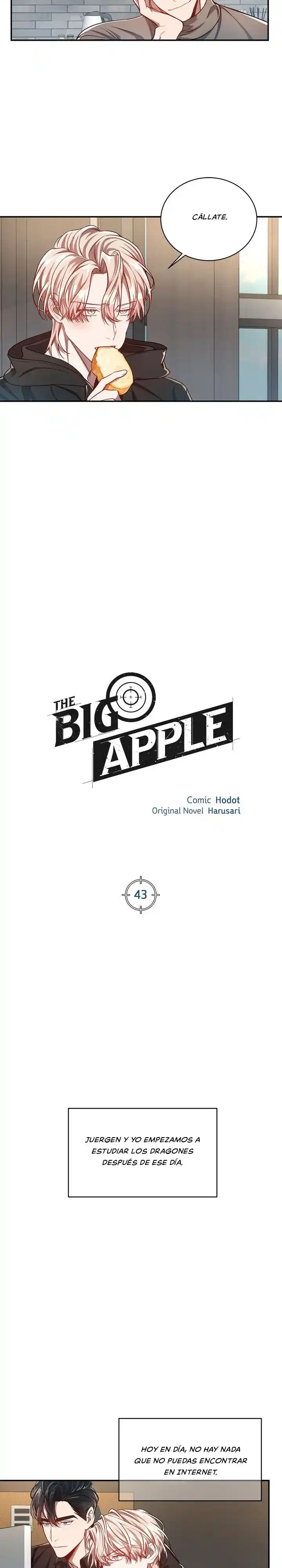 Gran Manzana (Big Apple) - Capítulo 43 - Página 9 - LectorTMOo