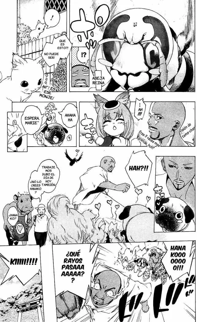 Binbougami ga! (2008) - Capítulo 24 - Página 13 - LectorTMOo