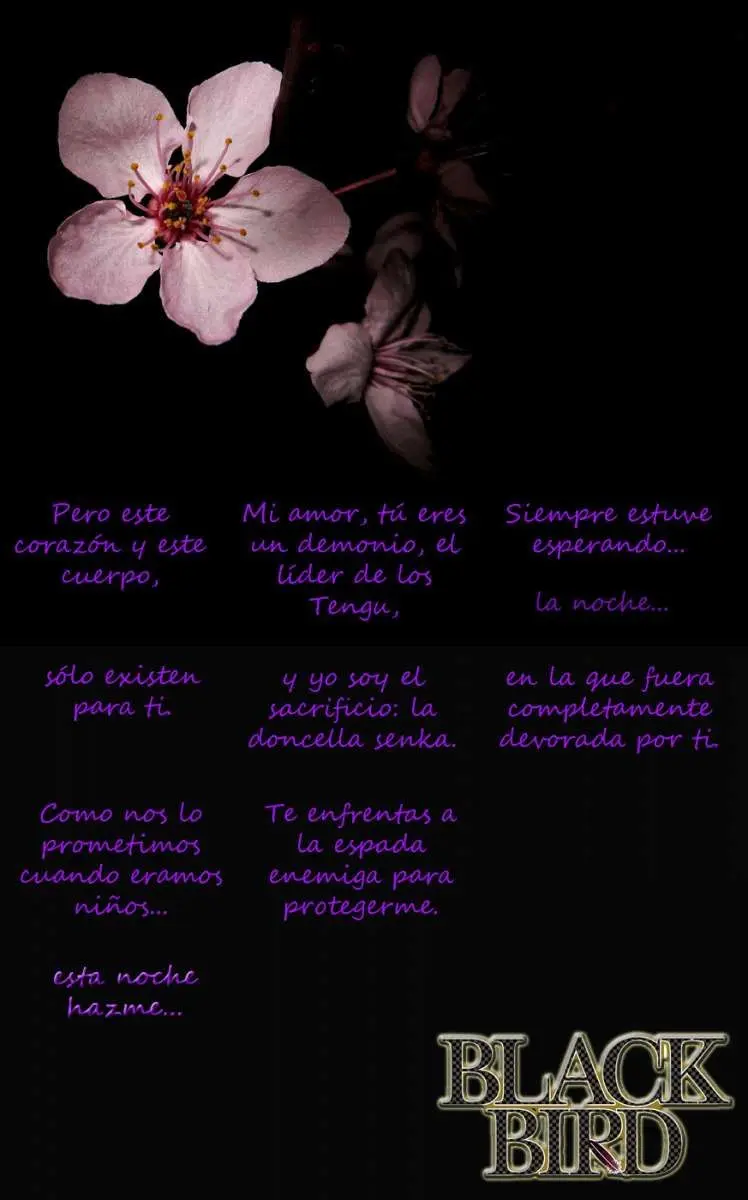 Black Bird (2007) - Capítulo 29 - Página 4 - LectorTMOo