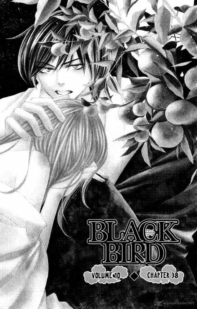 Black Bird (2007) - Capítulo 38 - Página 2 - LectorTMOo
