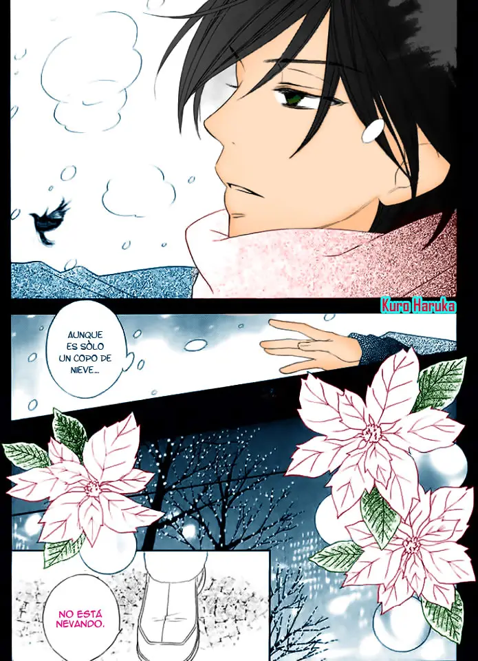 Black Bird (2007) - Capítulo 39.5 - Página 5 - LectorTMOo