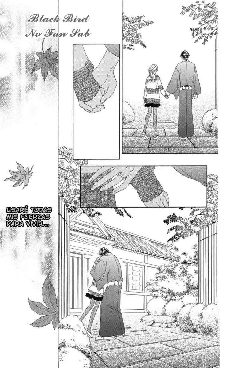 Black Bird (2007) - Capítulo 65 - Página 42 - LectorTMOo