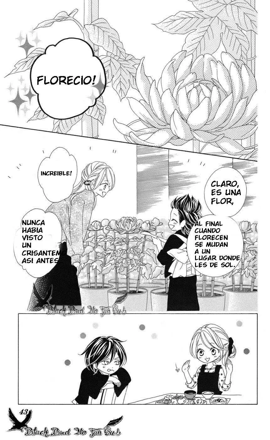 Black Bird (2007) - Capítulo 66 - Página 6 - LectorTMOo
