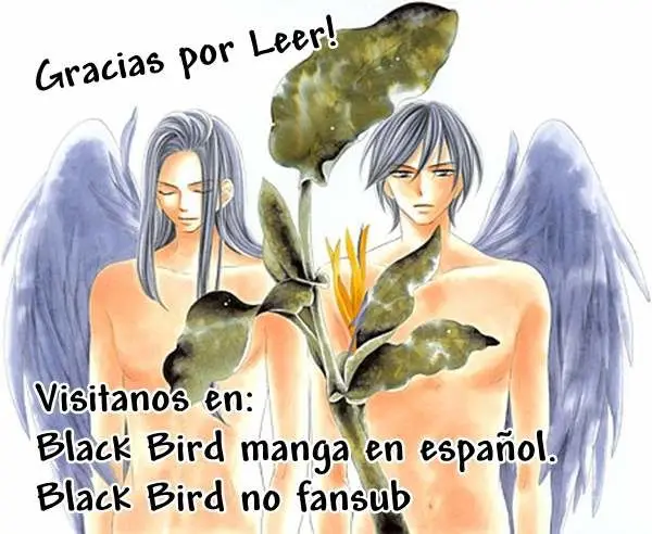Black Bird (2007) - Capítulo 69 - Página 37 - LectorTMOo