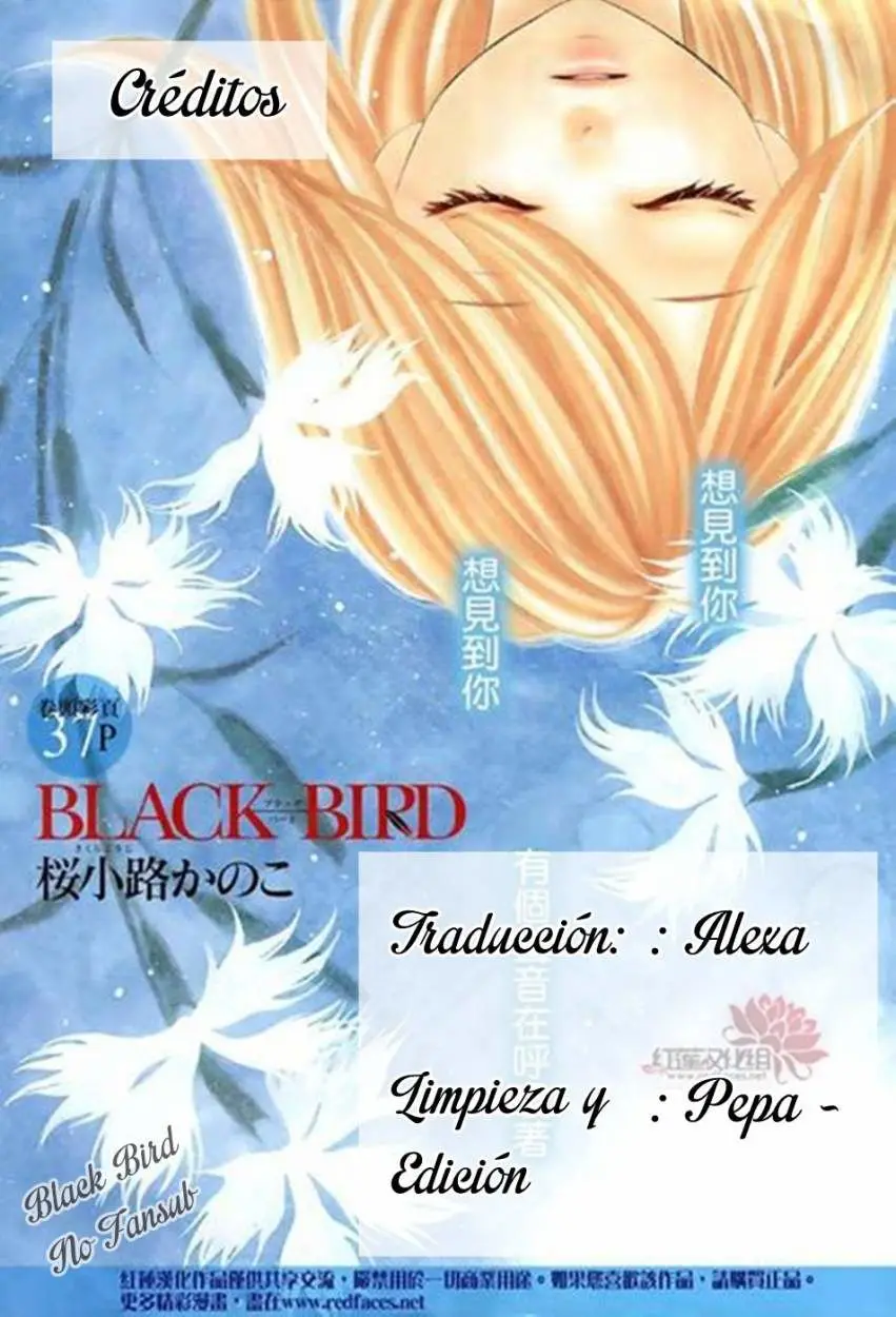 Black Bird (2007) - Capítulo 71 - Página 2 - LectorTMOo