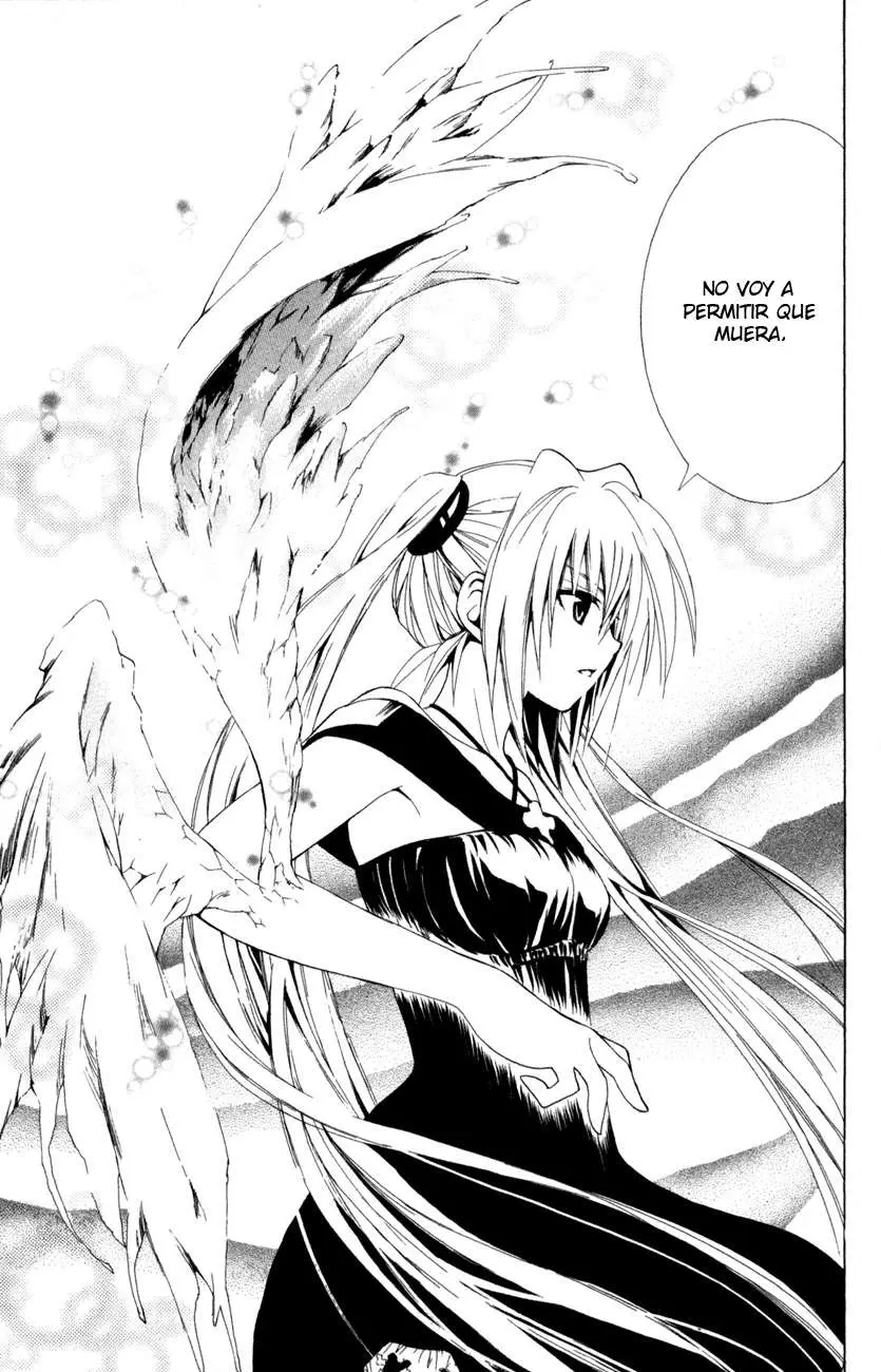 Black Cat (2000) - Capítulo 100 - Página 19 - LectorTMOo