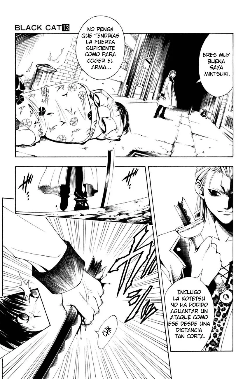Black Cat (2000) - Capítulo 118 - Página 14 - LectorTMOo