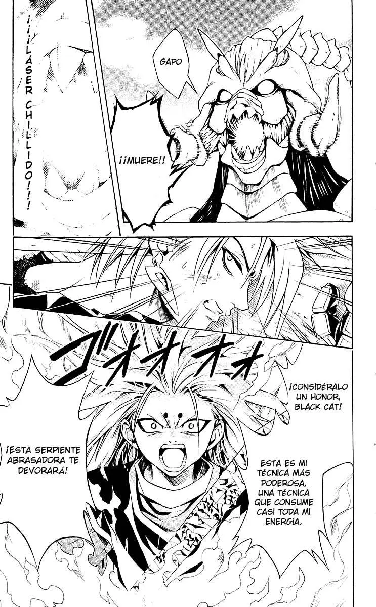 Black Cat (2000) - Capítulo 150 - Página 13 - LectorTMOo