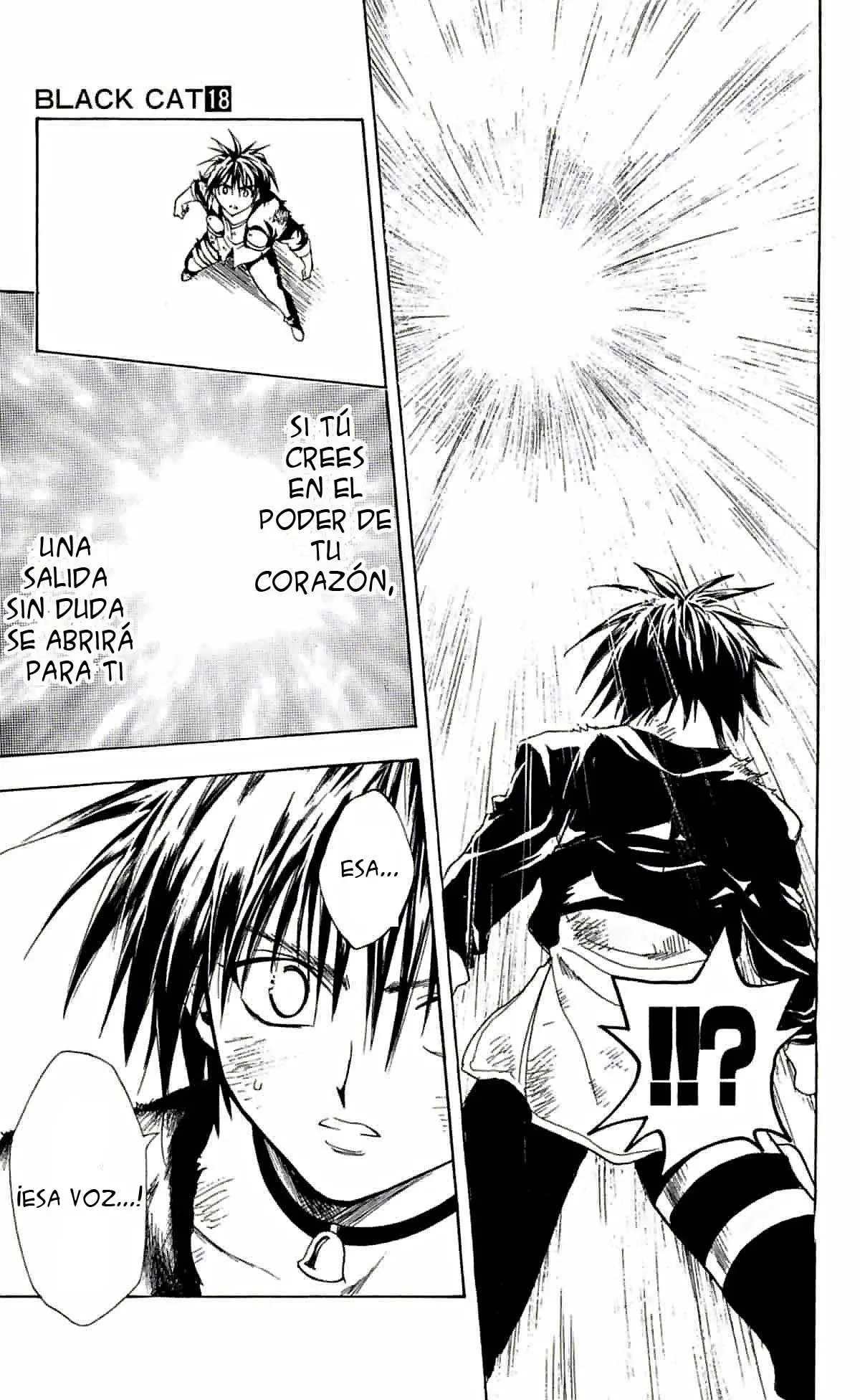 Black Cat (2000) - Capítulo 162 - Página 13 - LectorTMOo