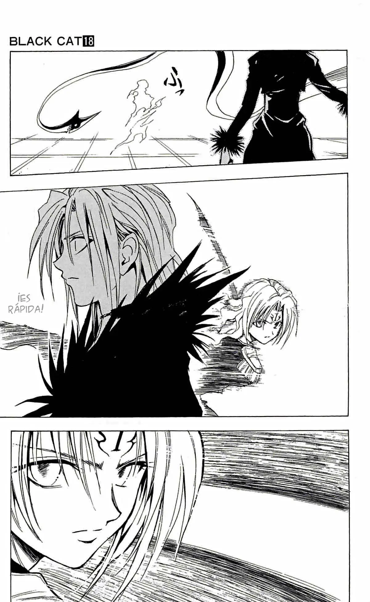 Black Cat (2000) - Capítulo 167 - Página 17 - LectorTMOo
