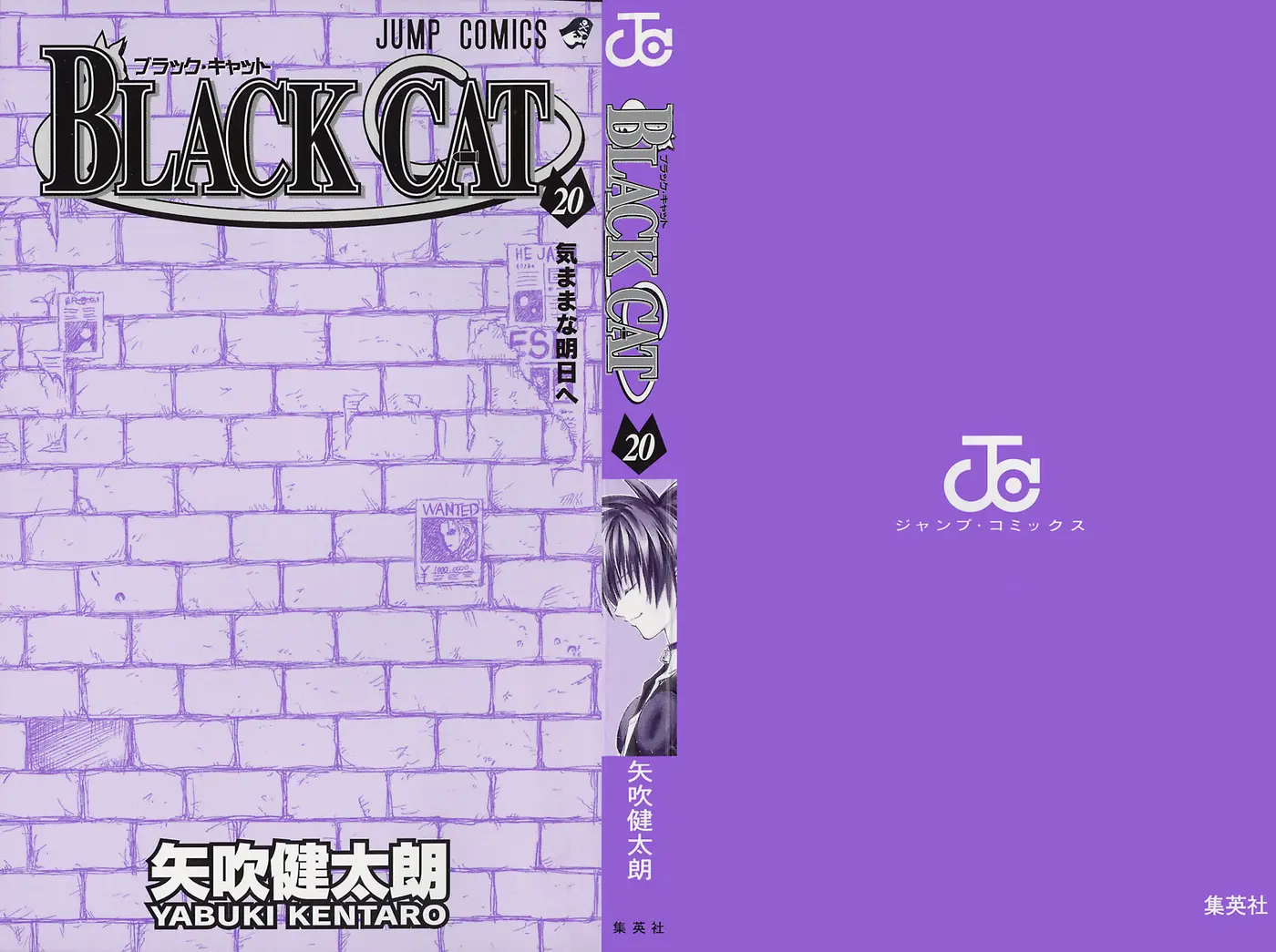 Black Cat (2000) - Capítulo 176 - Página 3 - LectorTMOo