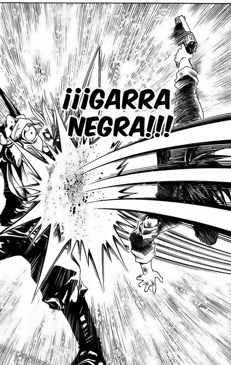 Black Cat (2000) - Capítulo 177 - Página 14 - LectorTMOo
