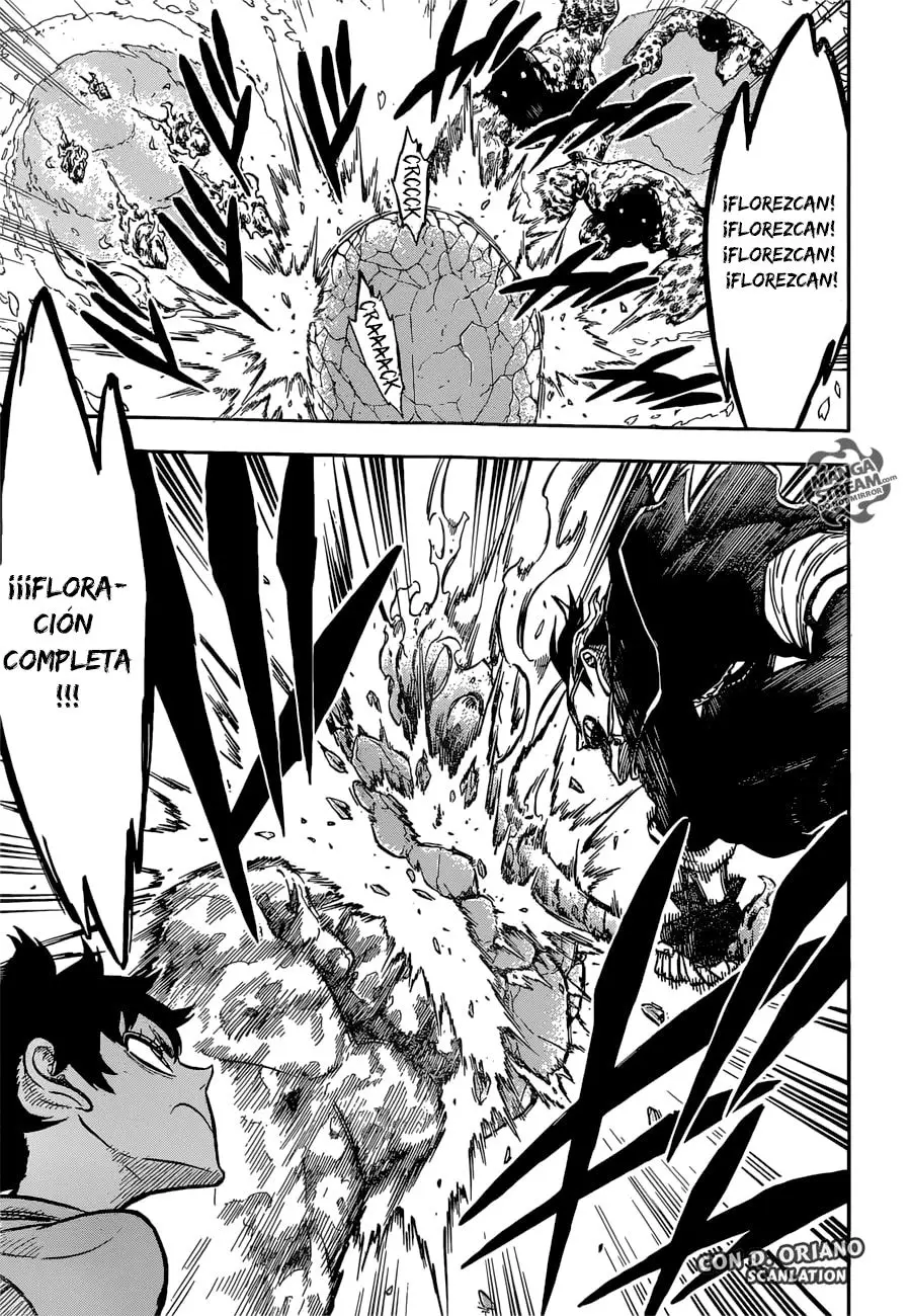Black Clover (2015) - Capítulo 116 - Página 14 - LectorTMOo