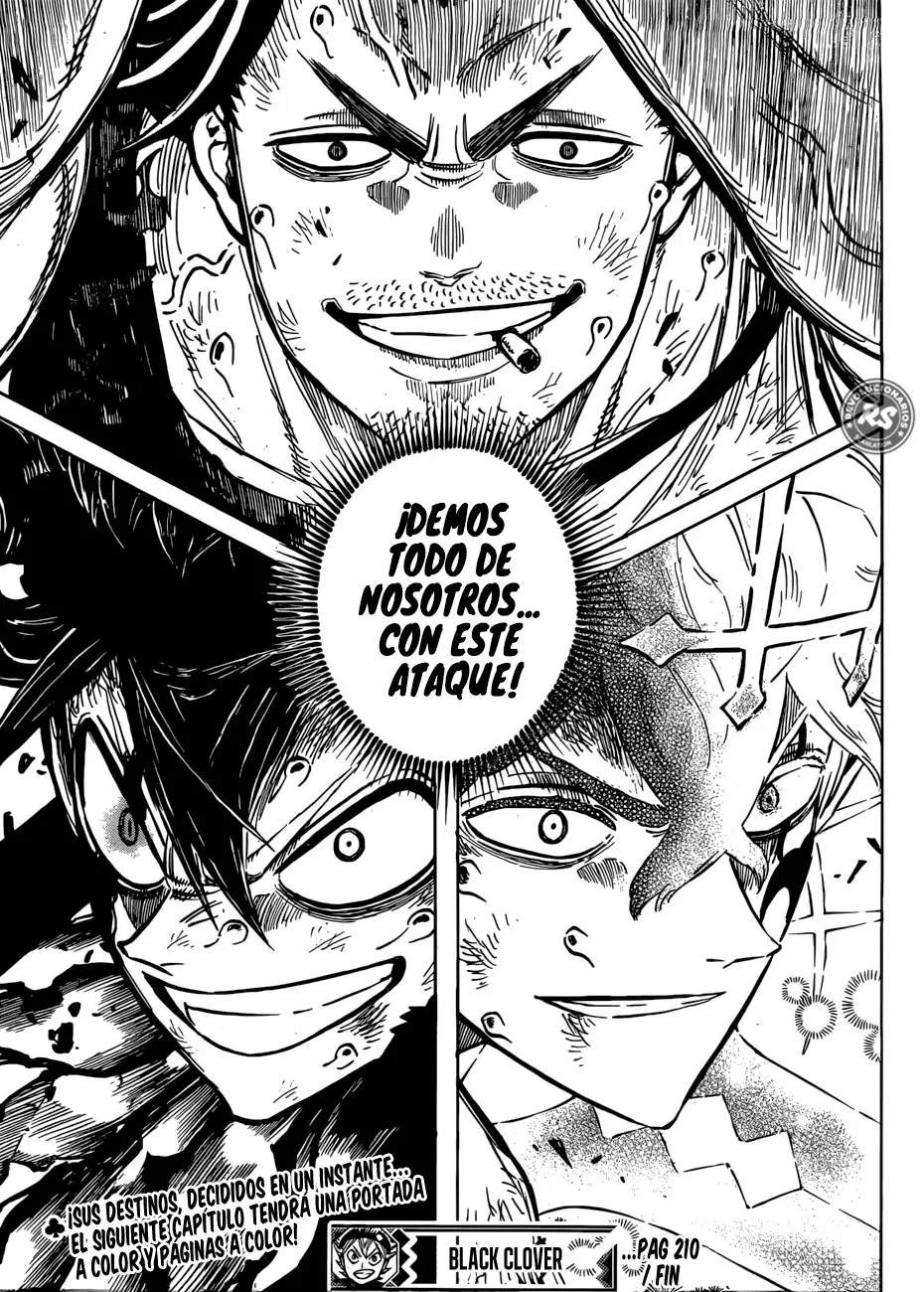 Black Clover (2015) - Capítulo 210 - Página 16 - LectorTMOo