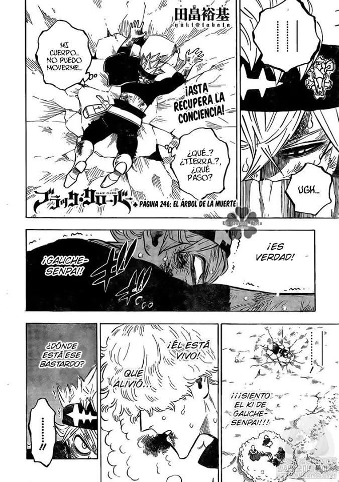 Black Clover (2015) - Capítulo 246 - Página 2 - LectorTMOo