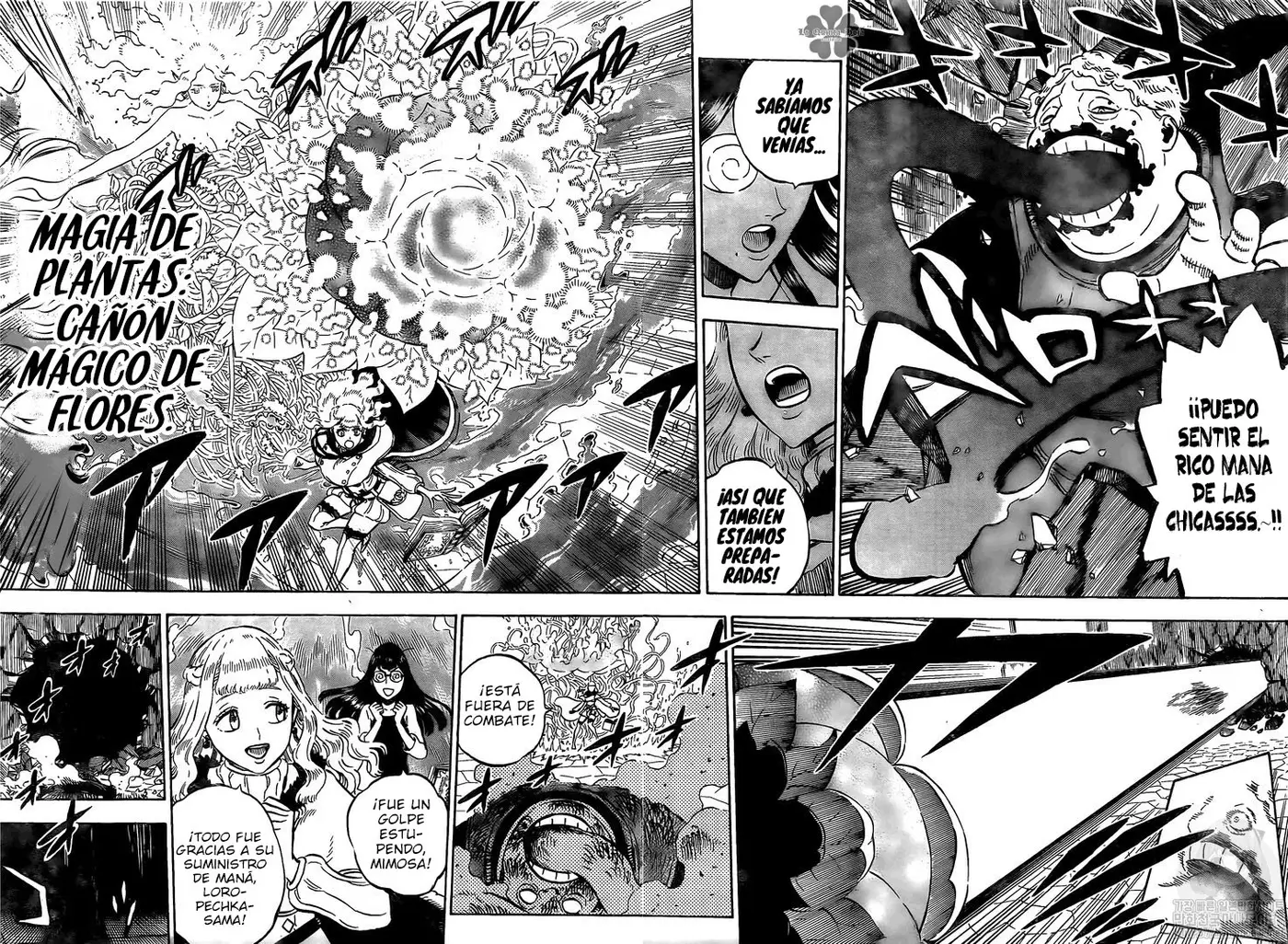 Black Clover (2015) - Capítulo 251 - Página 6 - LectorTMOo
