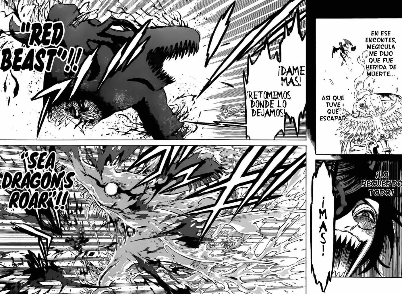 Black Clover (2015) - Capítulo 296 - Página 11 - LectorTMOo
