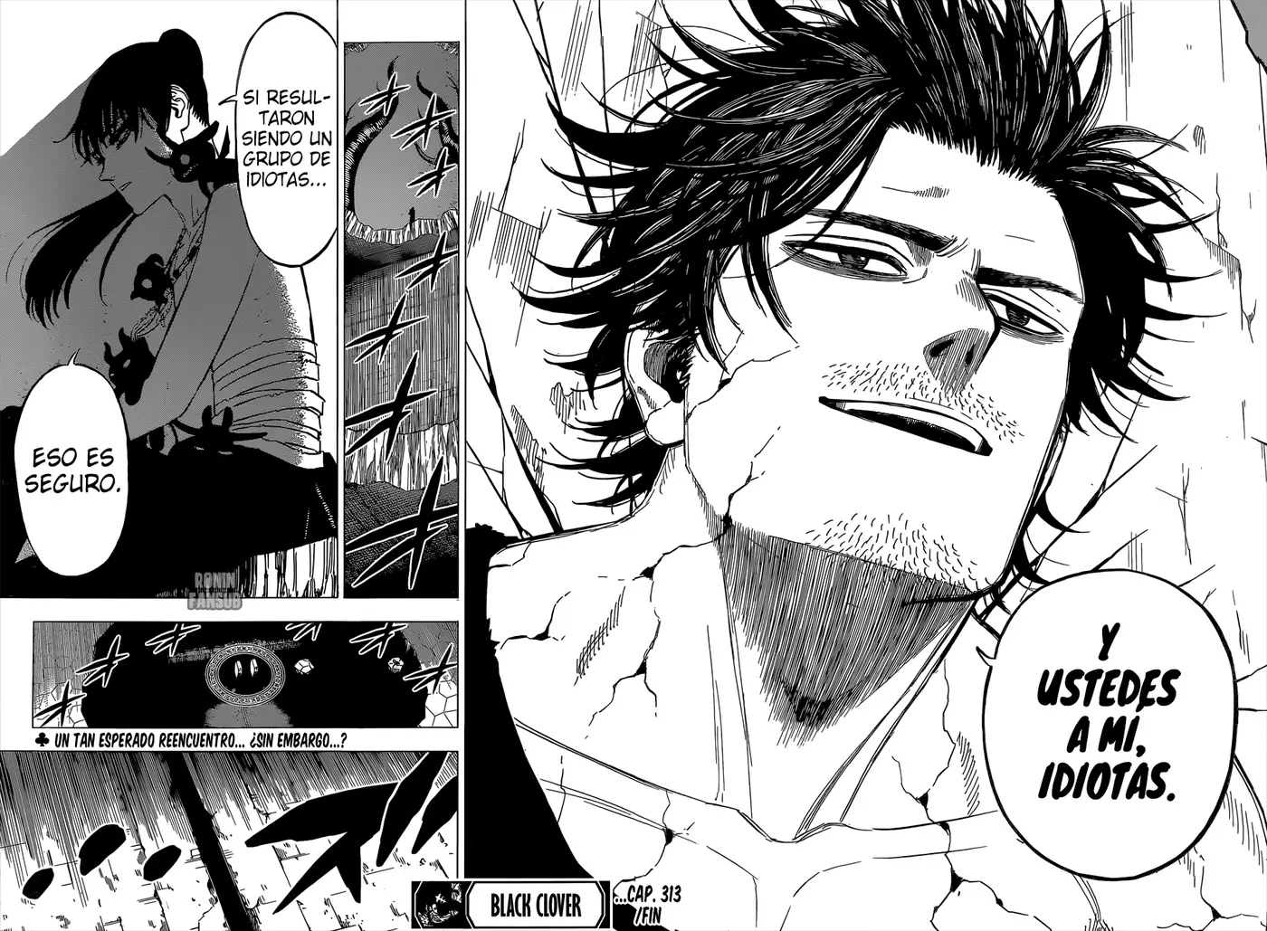 Black Clover (2015) - Capítulo 313 - Página 12 - LectorTMOo
