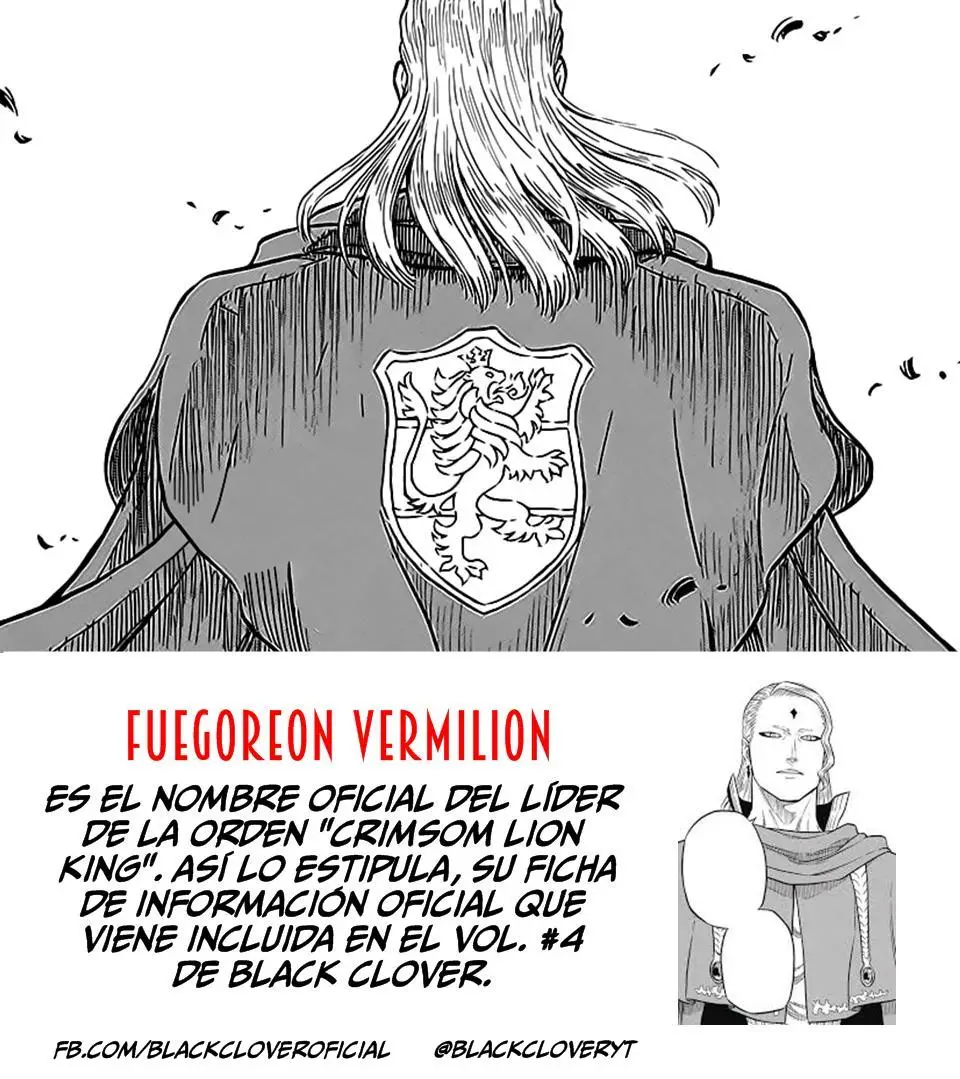 Black Clover (2015) - Capítulo 43 - Página 18 - LectorTMOo