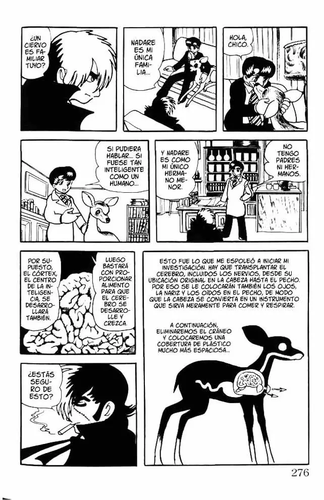 Black Jack (1973) - Capítulo 11 - Página 16 - LectorTMOo