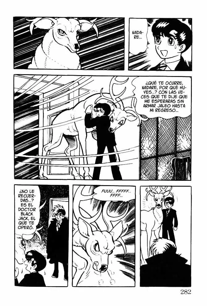 Black Jack (1973) - Capítulo 11 - Página 22 - LectorTMOo