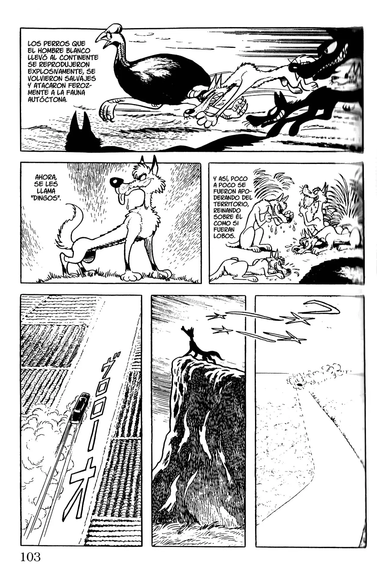Black Jack (1973) - Capítulo 117 - Página 3 - LectorTMOo