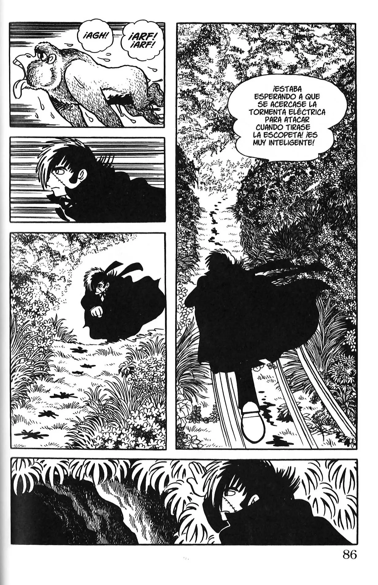 Black Jack (1973) - Capítulo 129 - Página 16 - LectorTMOo
