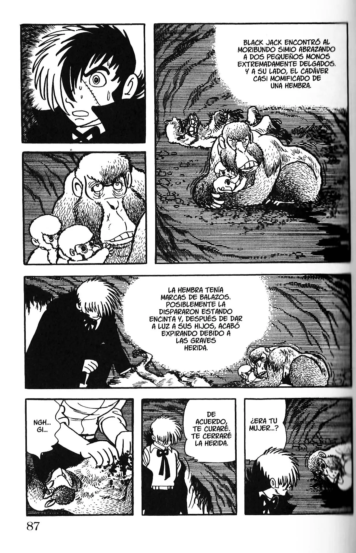 Black Jack (1973) - Capítulo 129 - Página 17 - LectorTMOo