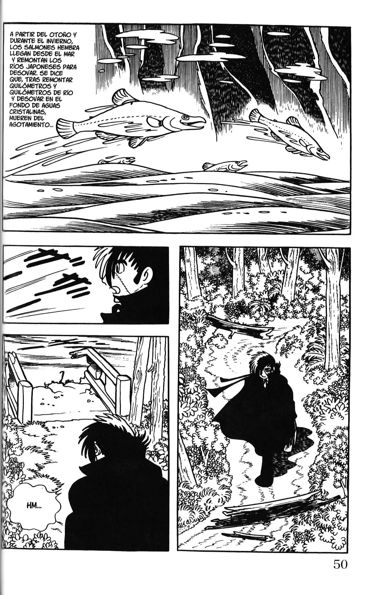 Black Jack (1973) - Capítulo 142 - Página 2 - LectorTMOo